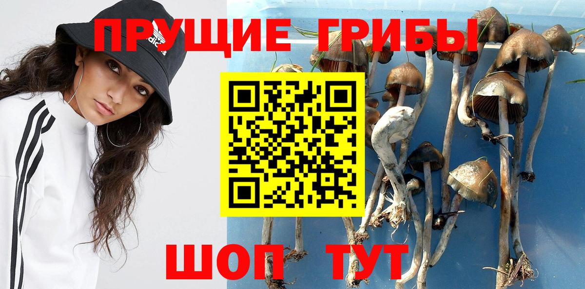 Галлюциногенные грибы мицелий  Галлюциногенные грибы MAGIC MUSHROOMS  Вход с VPN  Соликамск 