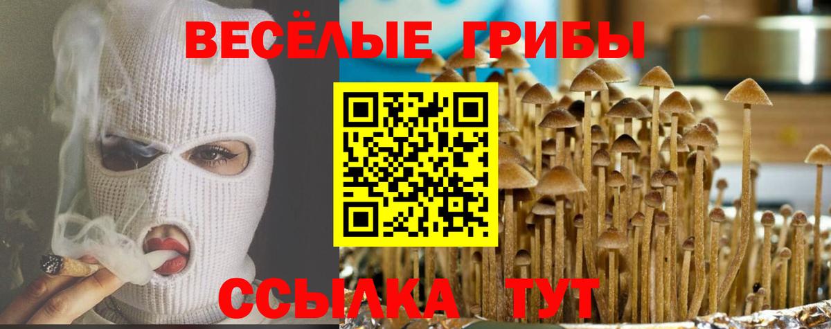 Галлюциногенные грибы мухоморы Соликамск